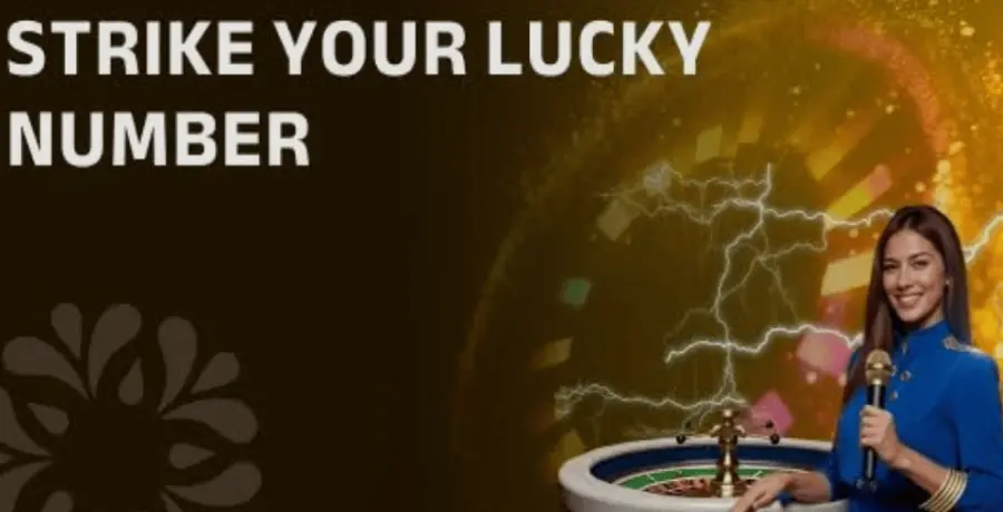 Login desicasino